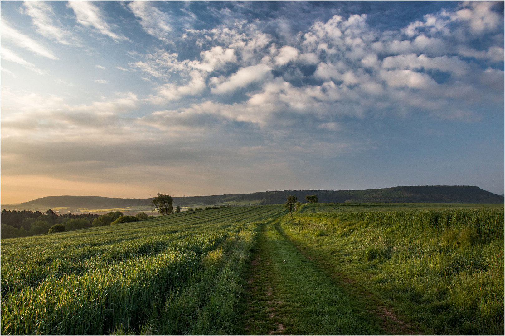 der Feldweg