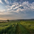 der Feldweg