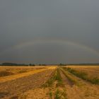 Der Feldweg zum Regenbogen