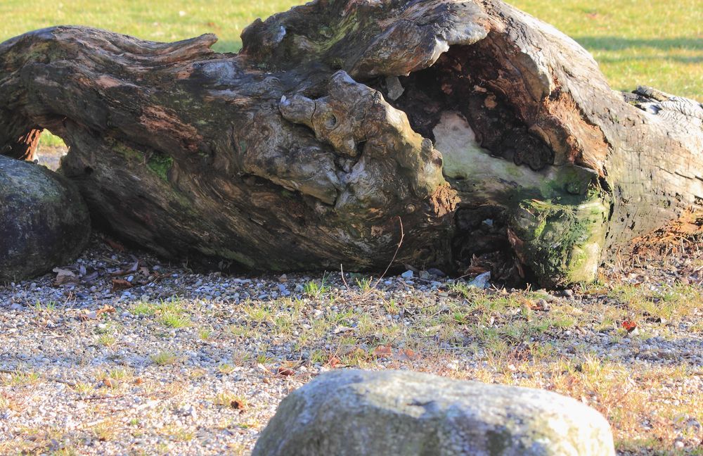 Der Fels auf dem Spielplatz