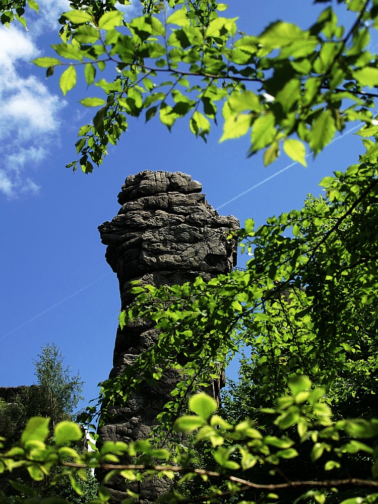 Der Fels im Wald