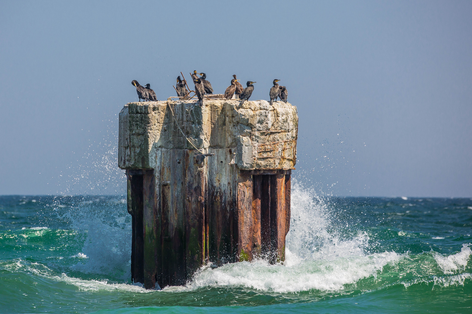 Der Fels in der Brandung Foto & Bild | ostsee, natur ...