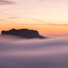 Der Fels in der Brandung - Lilienstein im Morgennebel