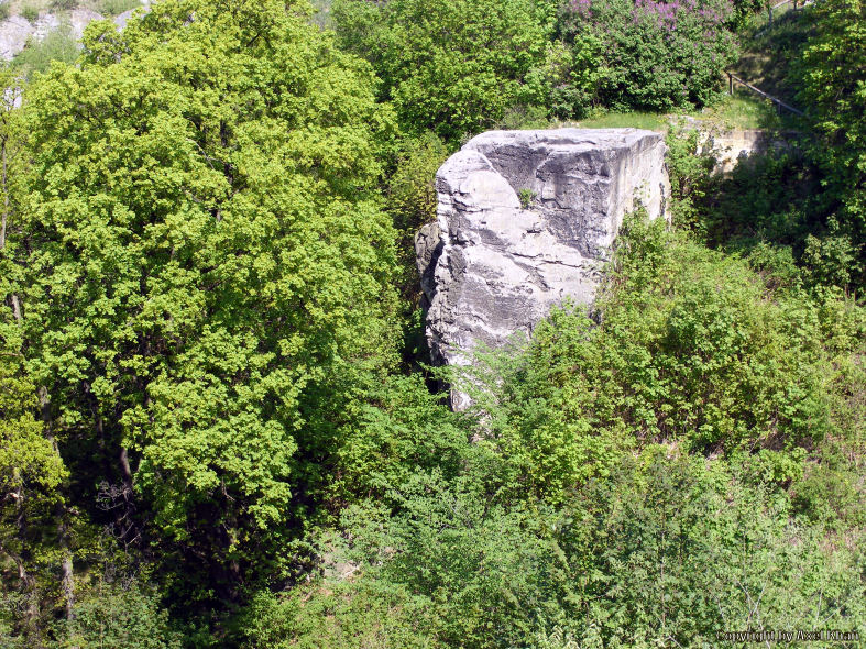 Der Fels in der Lichtung