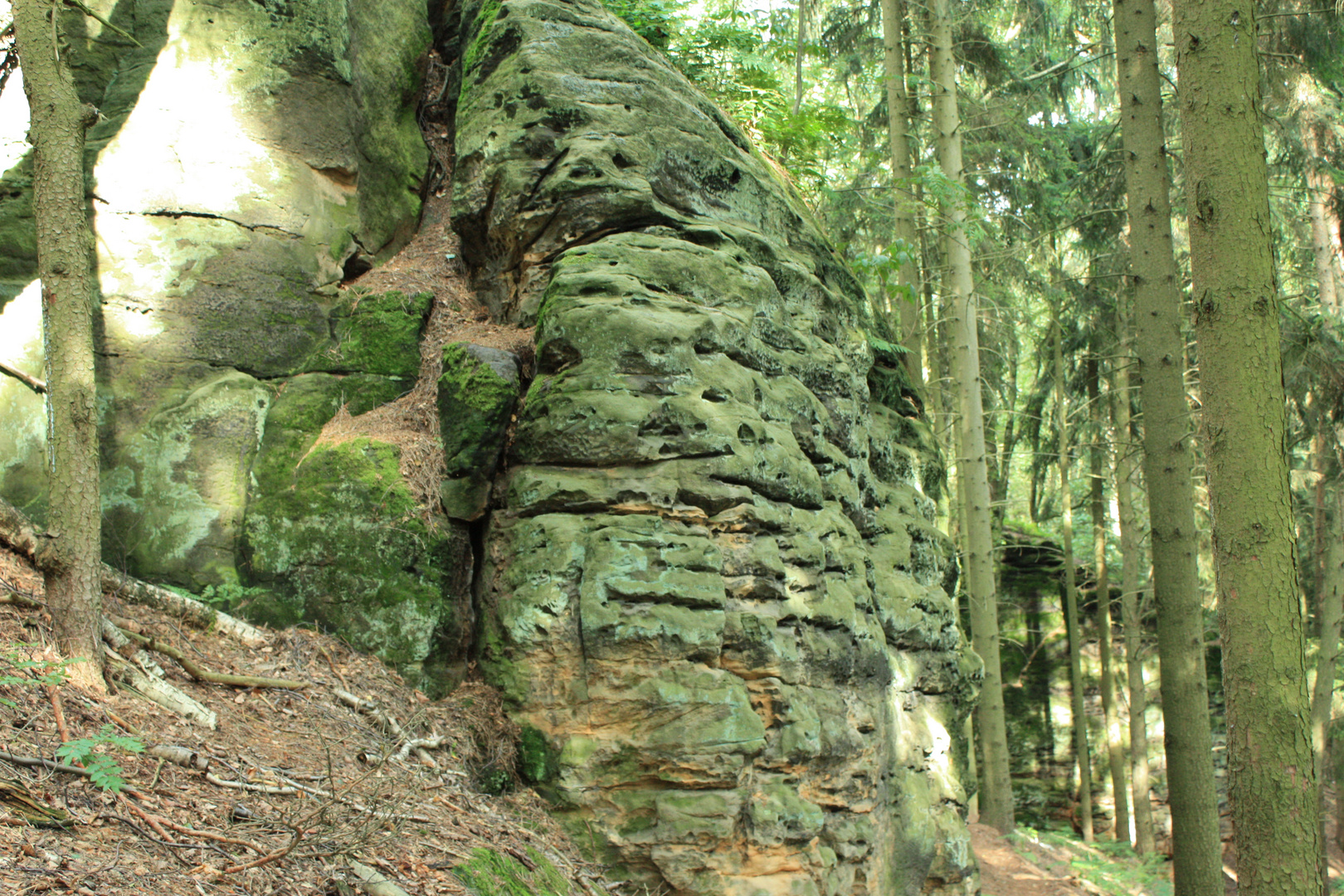 Der Felsen