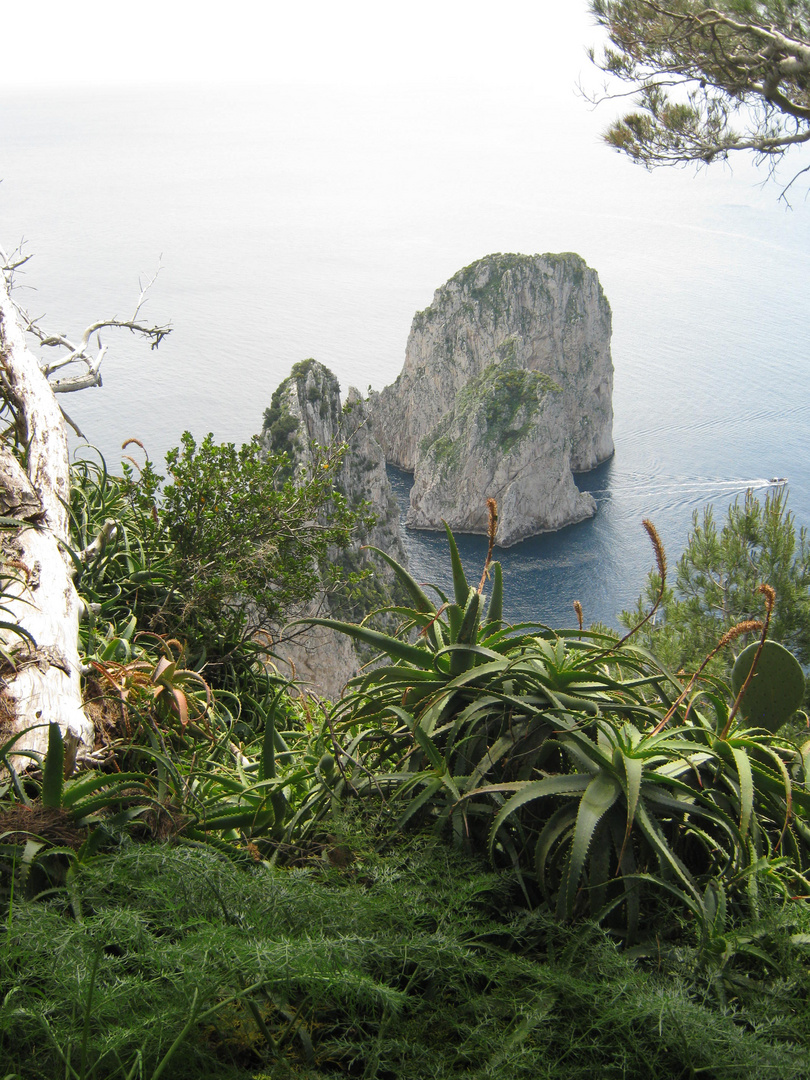 der felsen bei capri