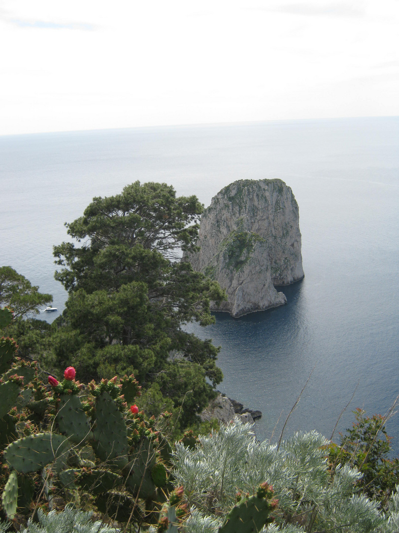 der felsen im meer 