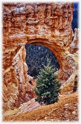 DER FELSEN MIT DEM LOCH.....