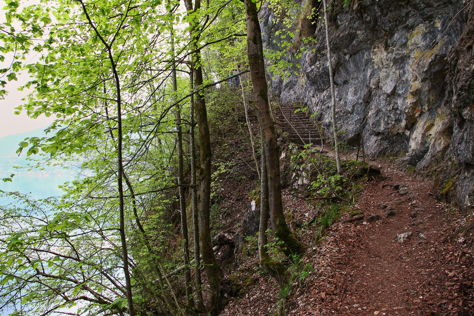 Der Felsensteig am Kochelsee (9583_ji)