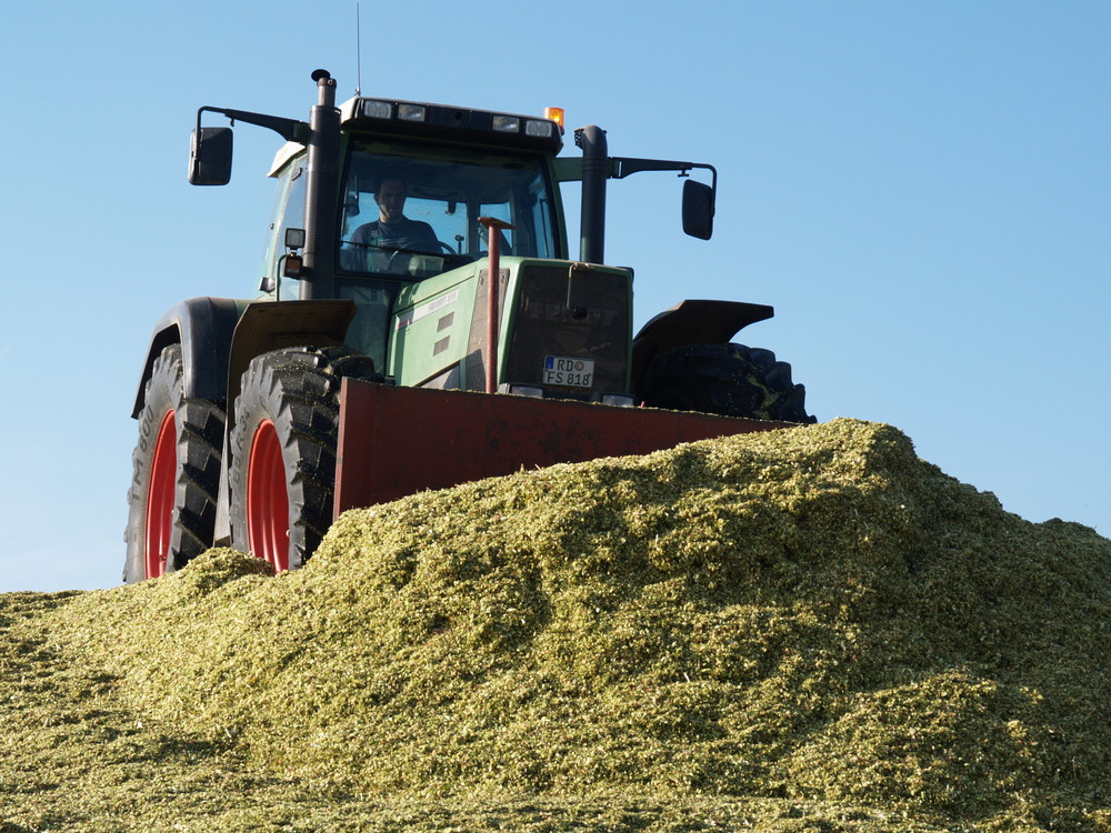 Der Fendt 818 auf dem Maissilo