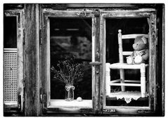 der fensterbär.
