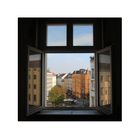 Der Fensterblick