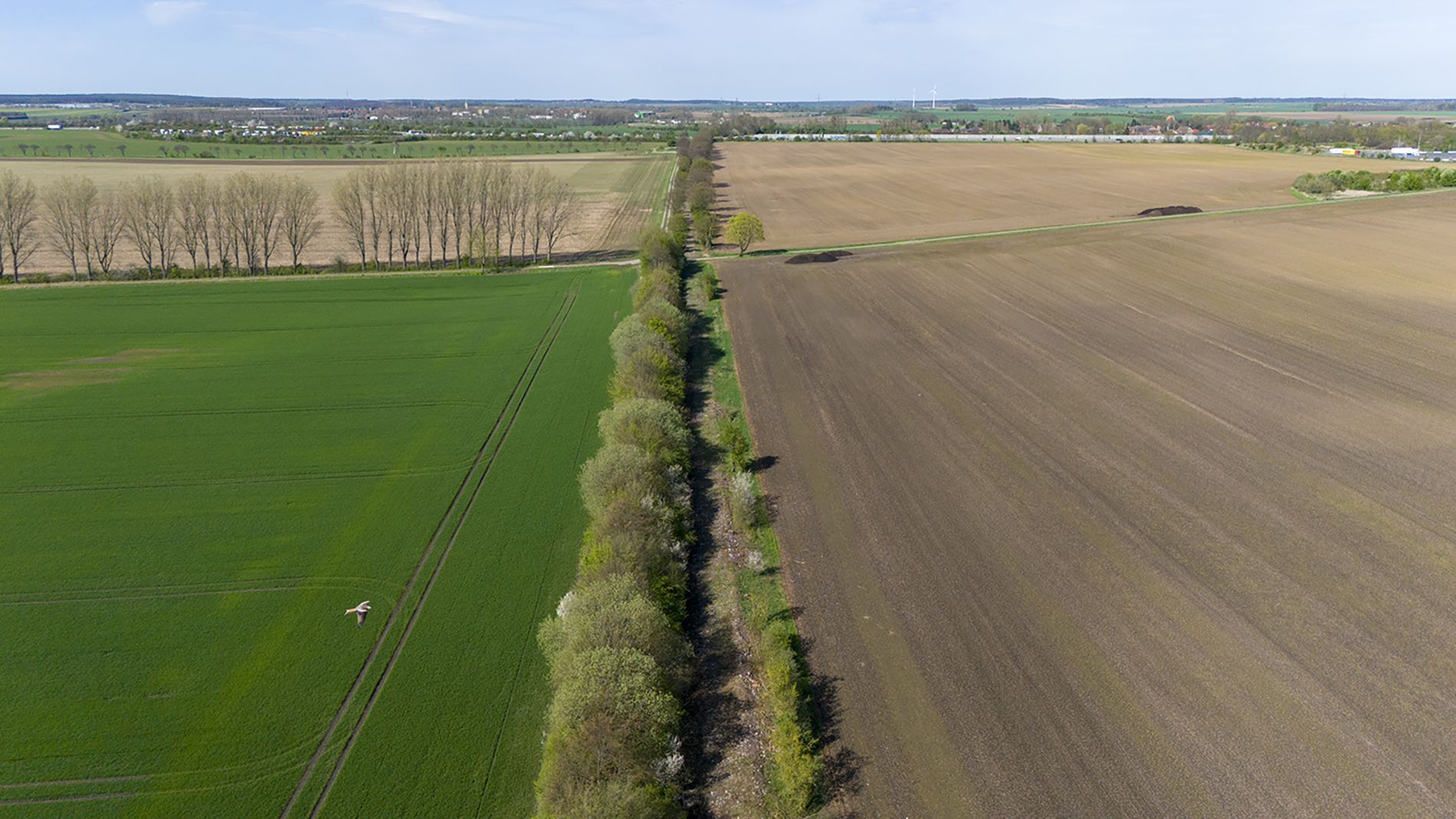 Der Ferkeltaxenradweg-1