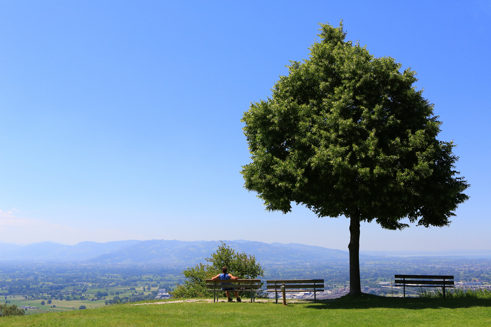 Der Fernblick