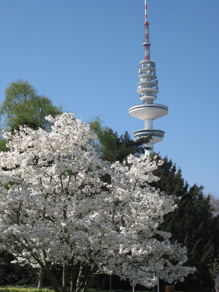 Der Fernsehturm