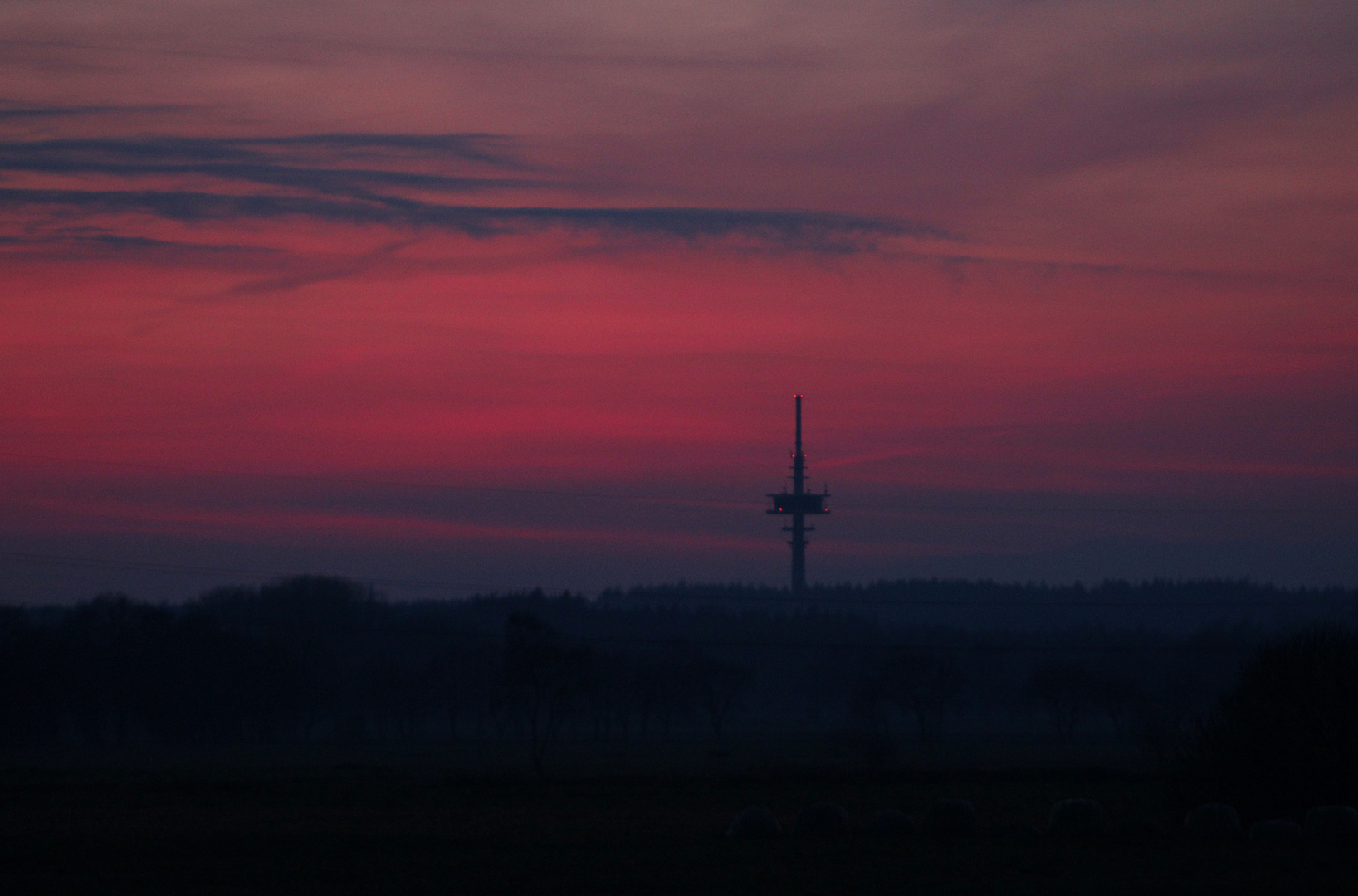 der Fernsehturm am Wald Westerberg ...