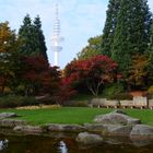 Der Fernsehturm