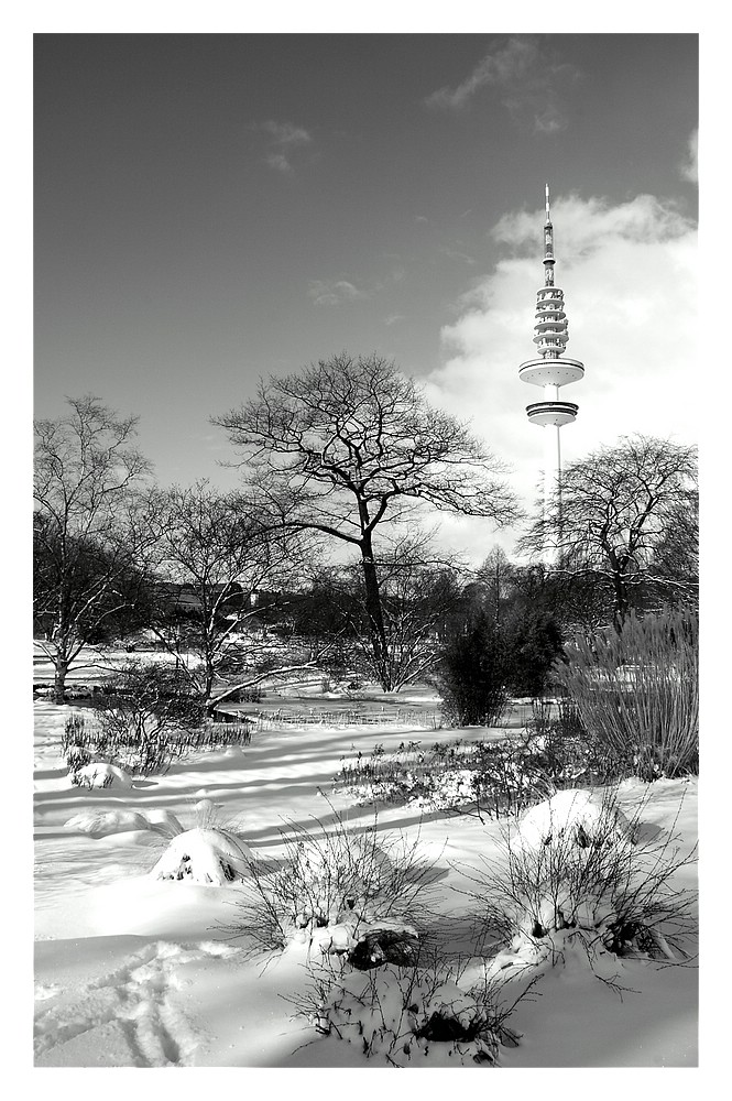 Der Fernsehturm von Planten und Blomen aus gesehen