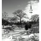 Der Fernsehturm von Planten und Blomen aus gesehen