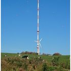 Der Fernsehturm von Witzhelden