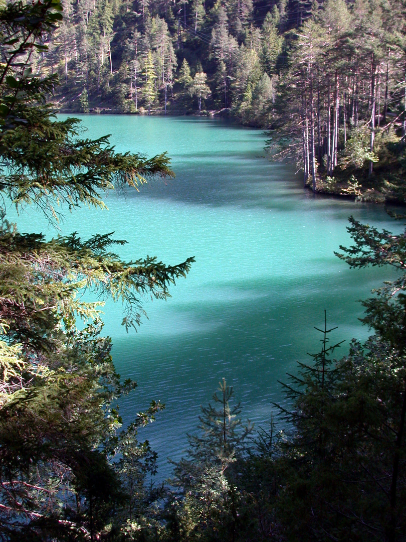 Der Fernsteinsee