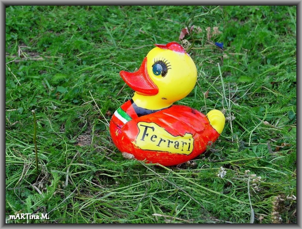 Der Ferrari unter den Enten