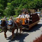 Der Festwagen vom Hofbräuhaus Berchtesgaden