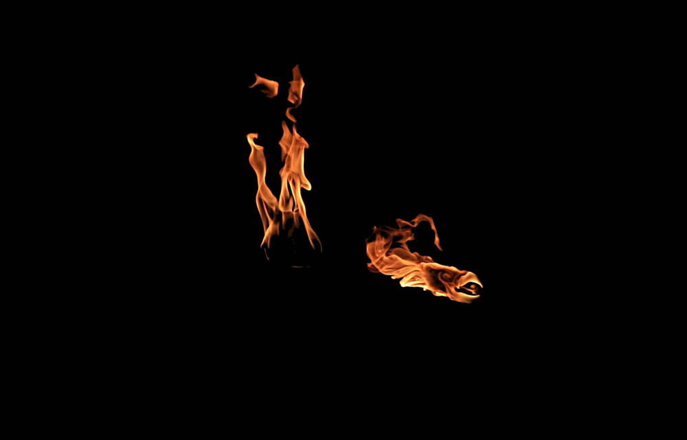 Der Feuer Drache