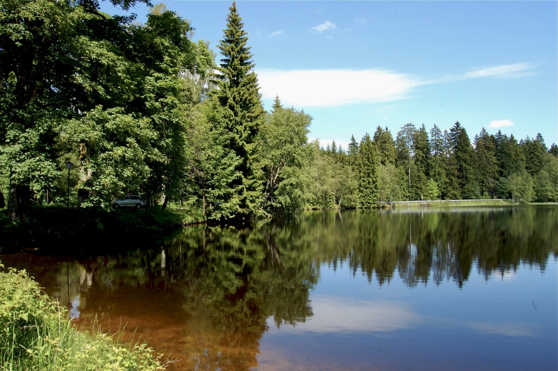 Der Fichtelsee bei Bischofsgrün