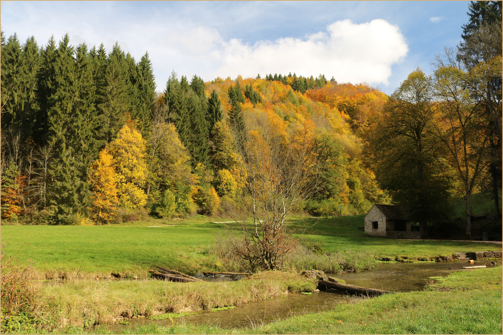 Der Filsursprung im Hasental bei Wiesensteig.