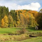 Der Filsursprung im Hasental bei Wiesensteig.