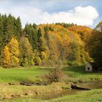 Der Filsursprung im Hasental bei Wiesensteig.