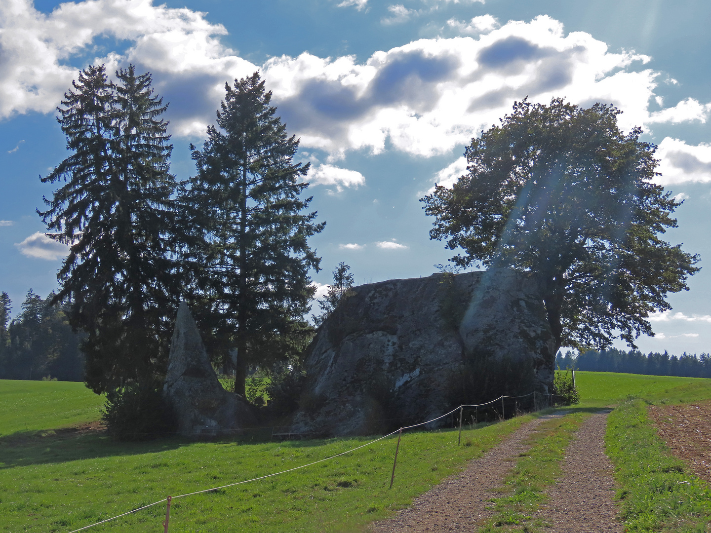 Der Findling vom Steinhof