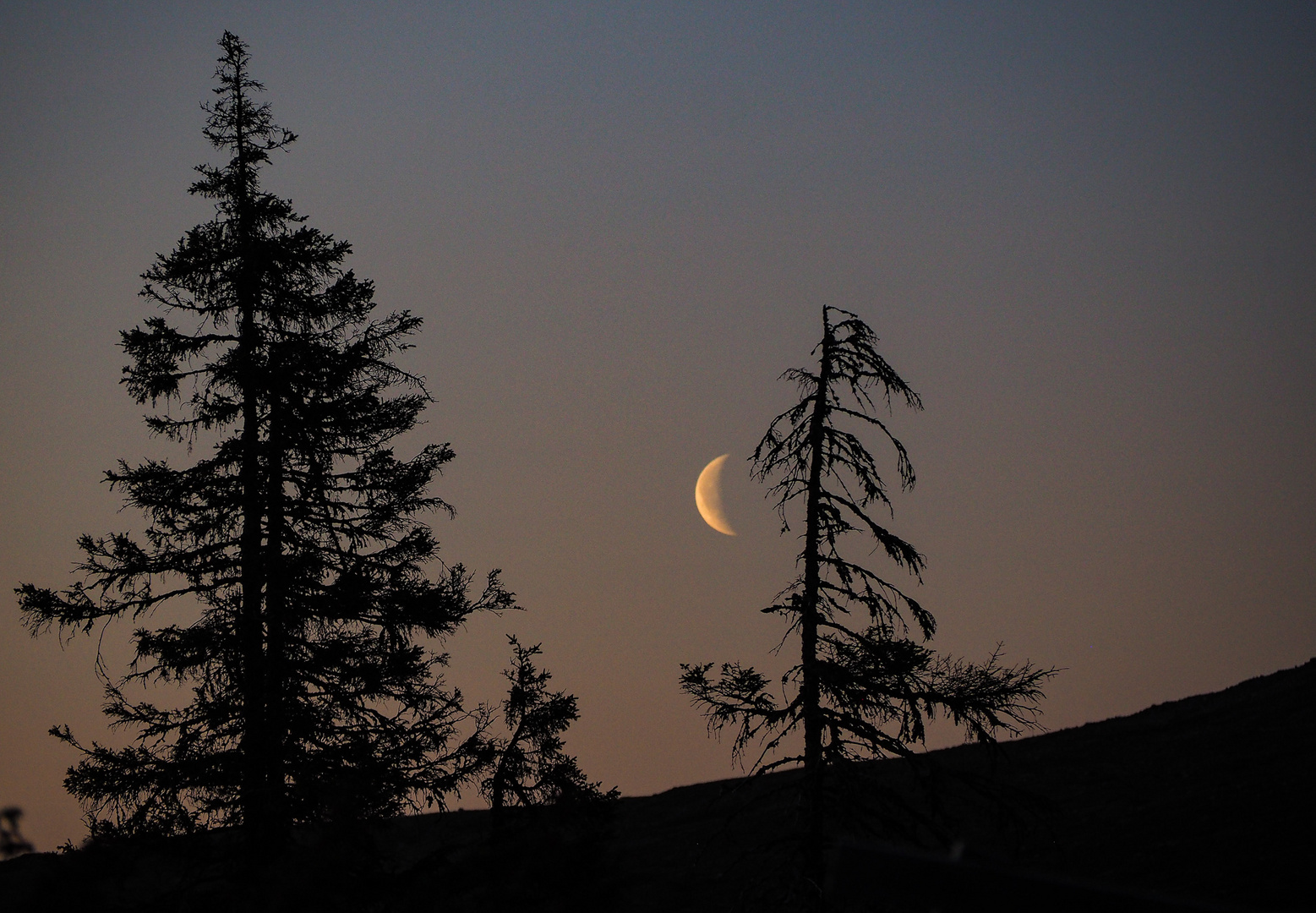 Der finnische Mond- dem Himmel nahe