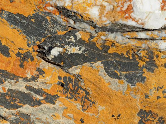 Der Fisch: Ein fantasievolles Felsen-Kunstwerk ...