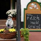 Der Fisch macht's!