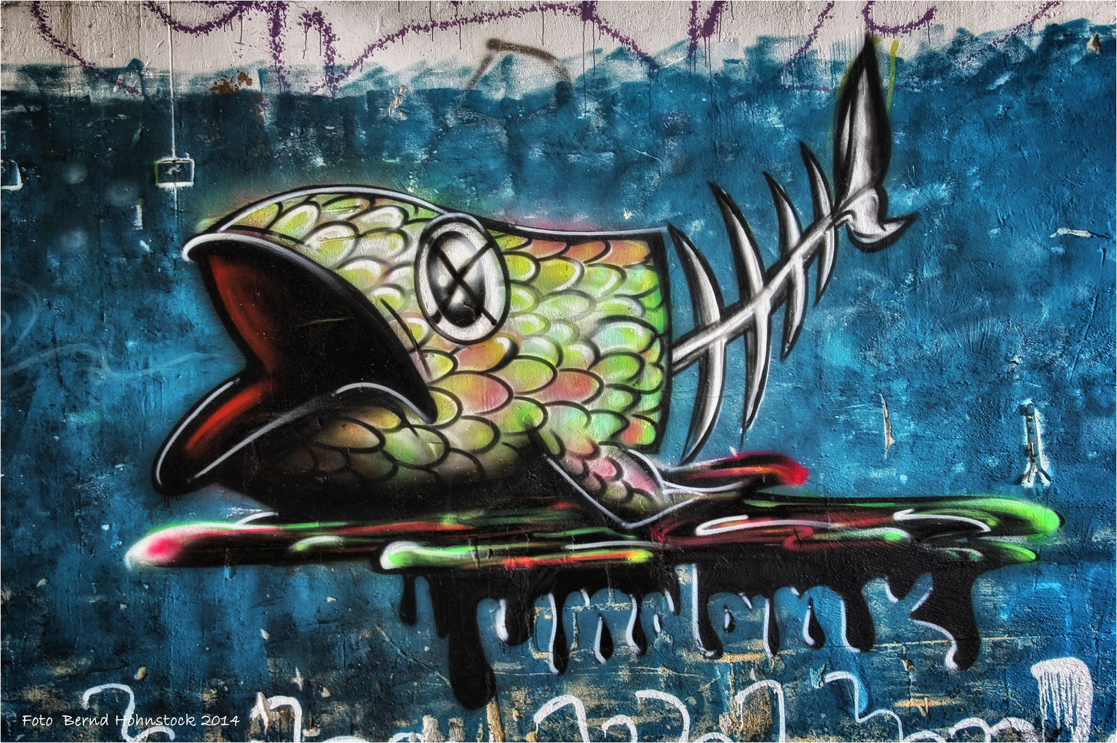 Der Fisch Stinkt Am Kopf Zuerst Foto Bild Streetart Graffiti Tags Kunstfotografie Kultur Hdr Tm Bilder Auf Fotocommunity