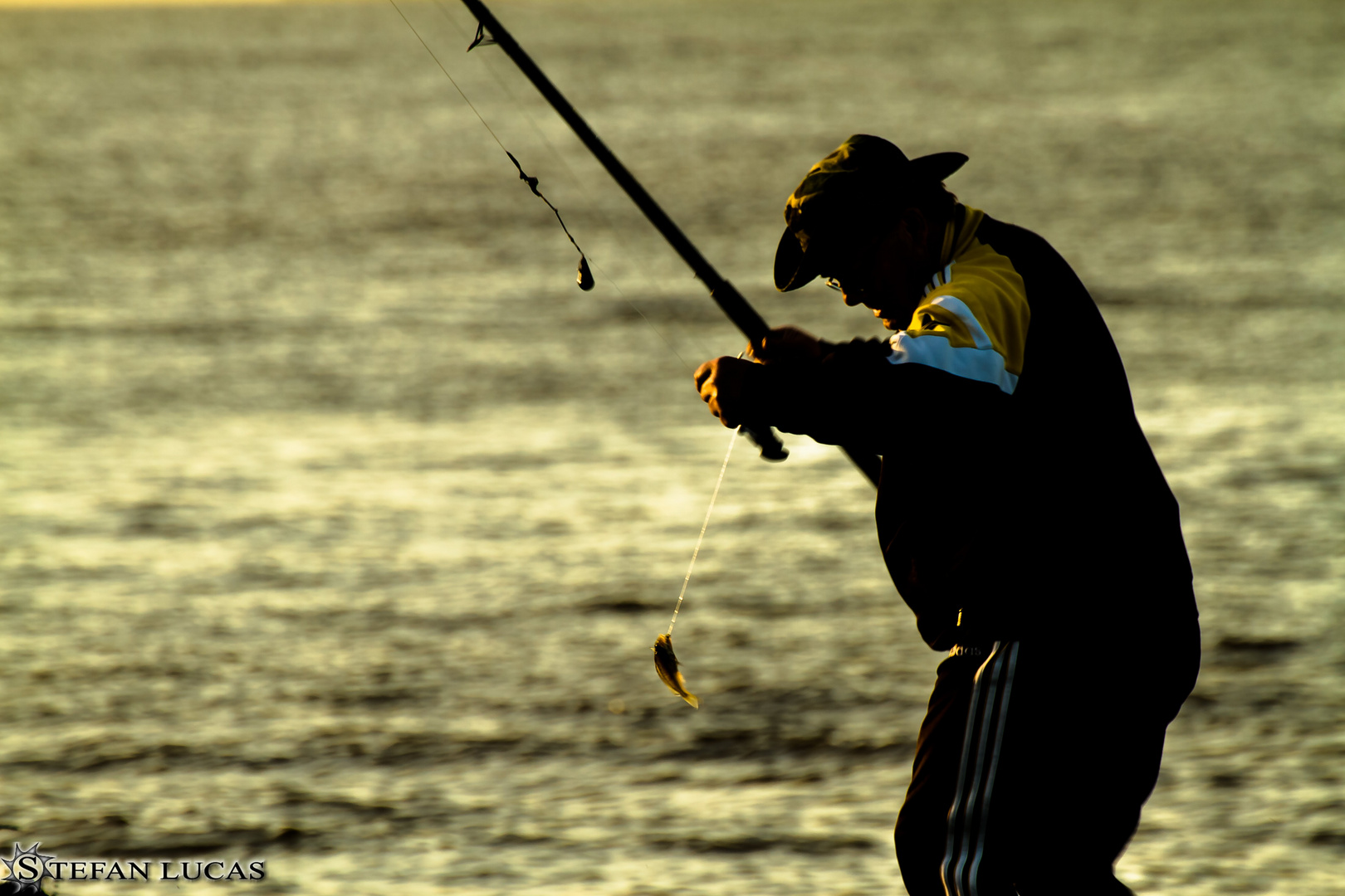 Der Fischer
