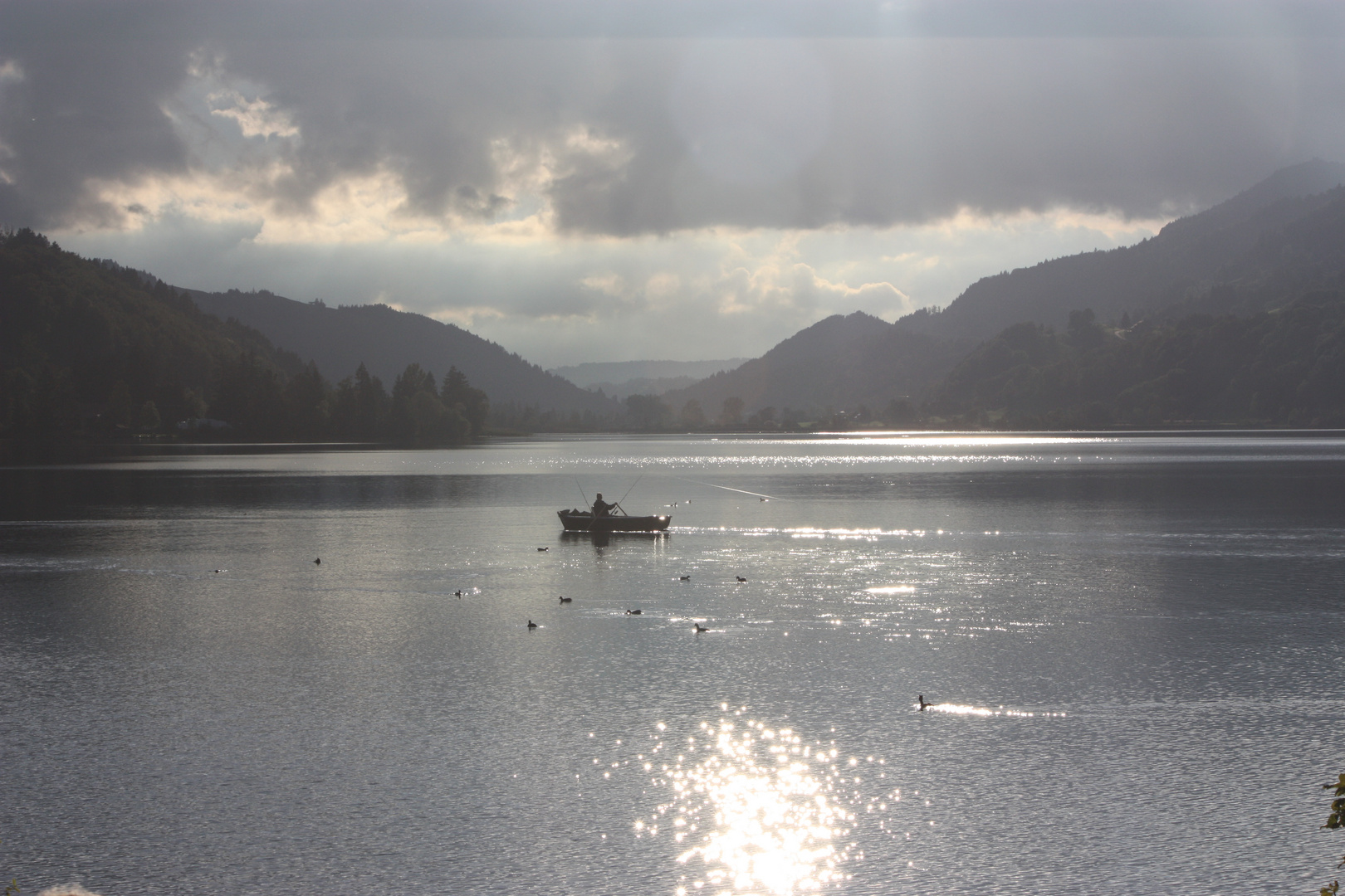 Der Fischer vom Alpsee