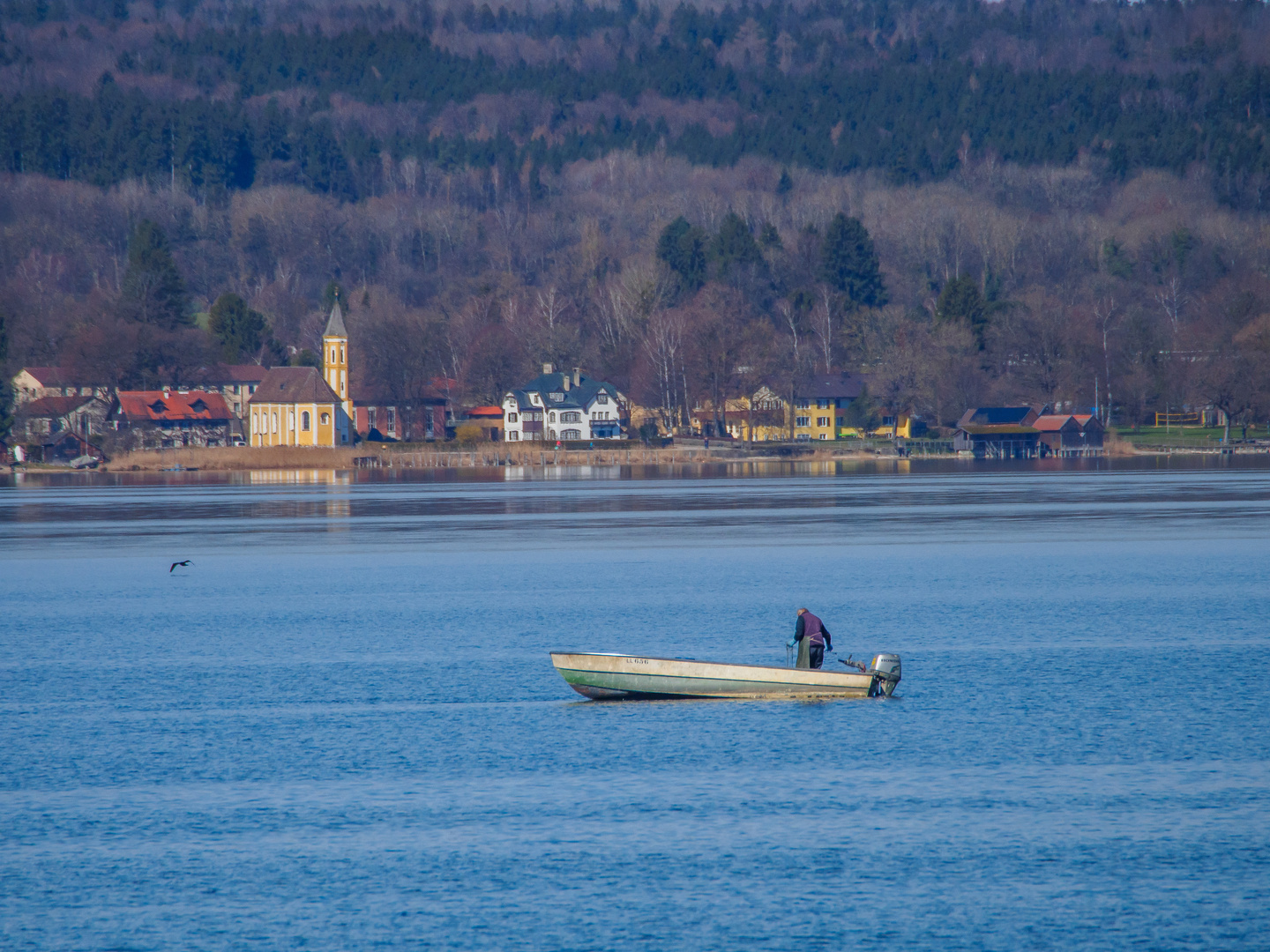 Der Fischer vom Ammersee