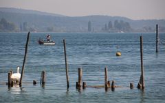 Der Fischer vom Bodensee