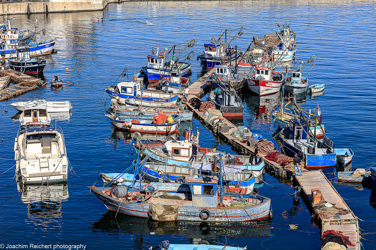 Der Fischereihafen von Algier