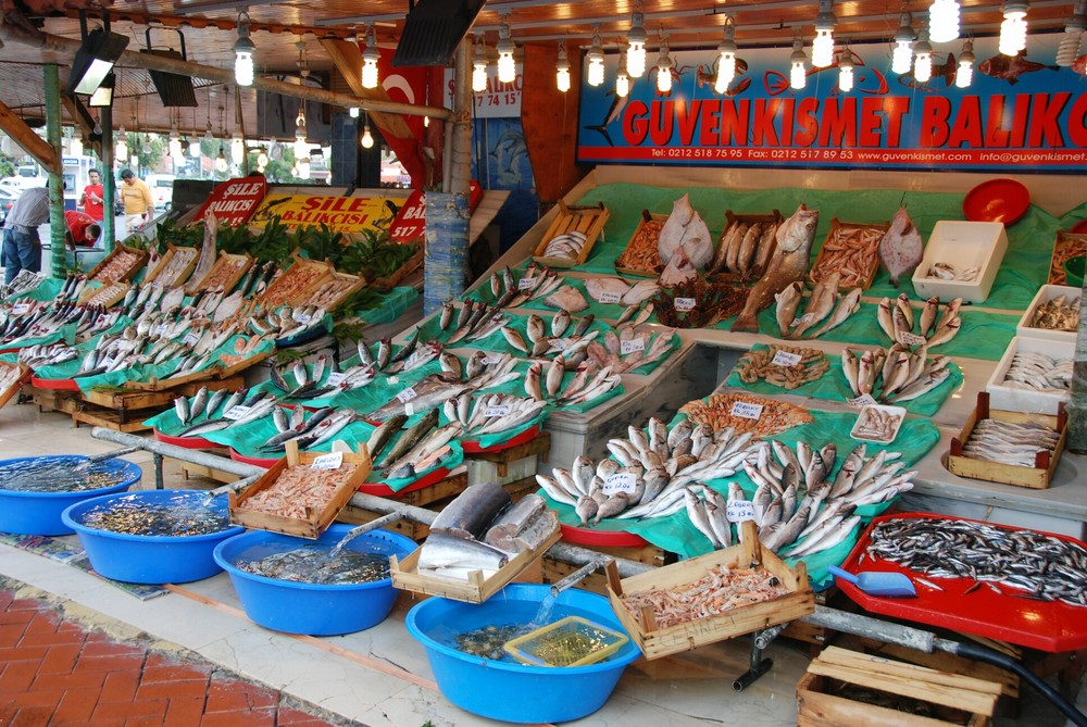 Der Fischmarkt in Istanbul