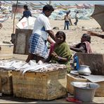 Der Fischmarkt von Chennai