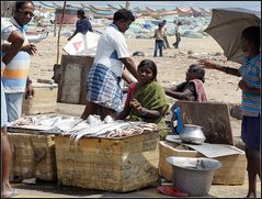 Der Fischmarkt von Chennai