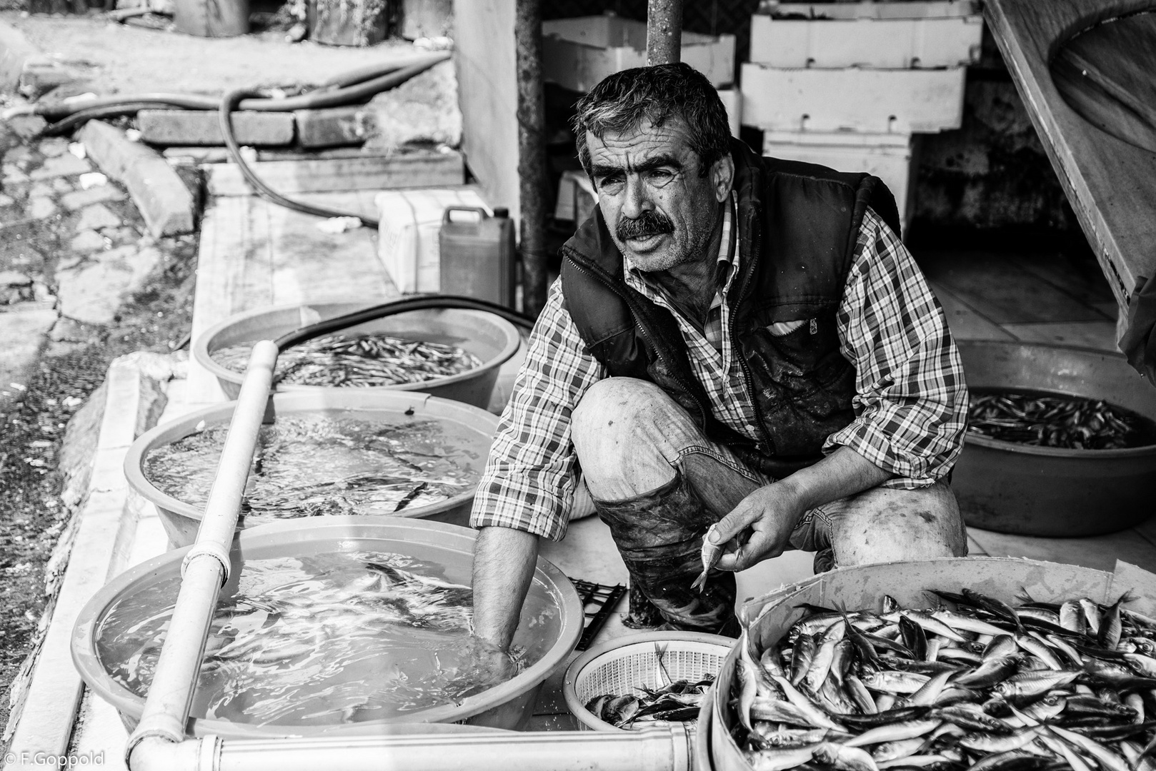 Der Fischmarkt von Karaköy