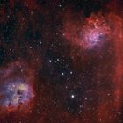 Der Flaming Star Nebel und IC 410