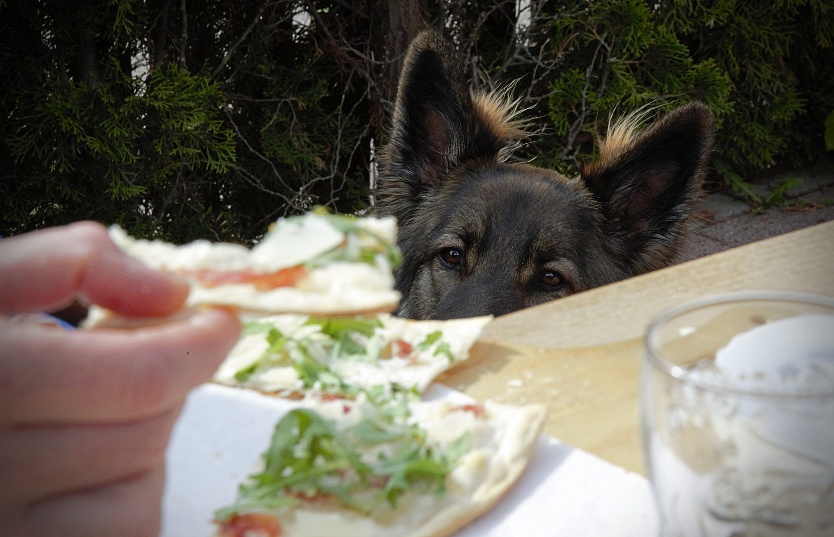 Der Flammkuchen und klein Ocean