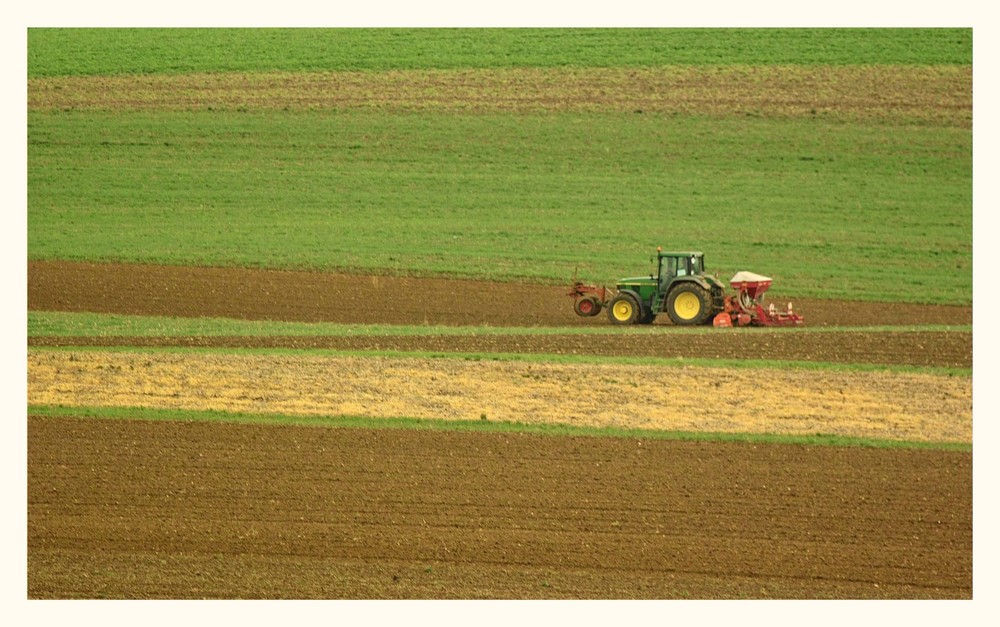 Der fleißige Landmann .