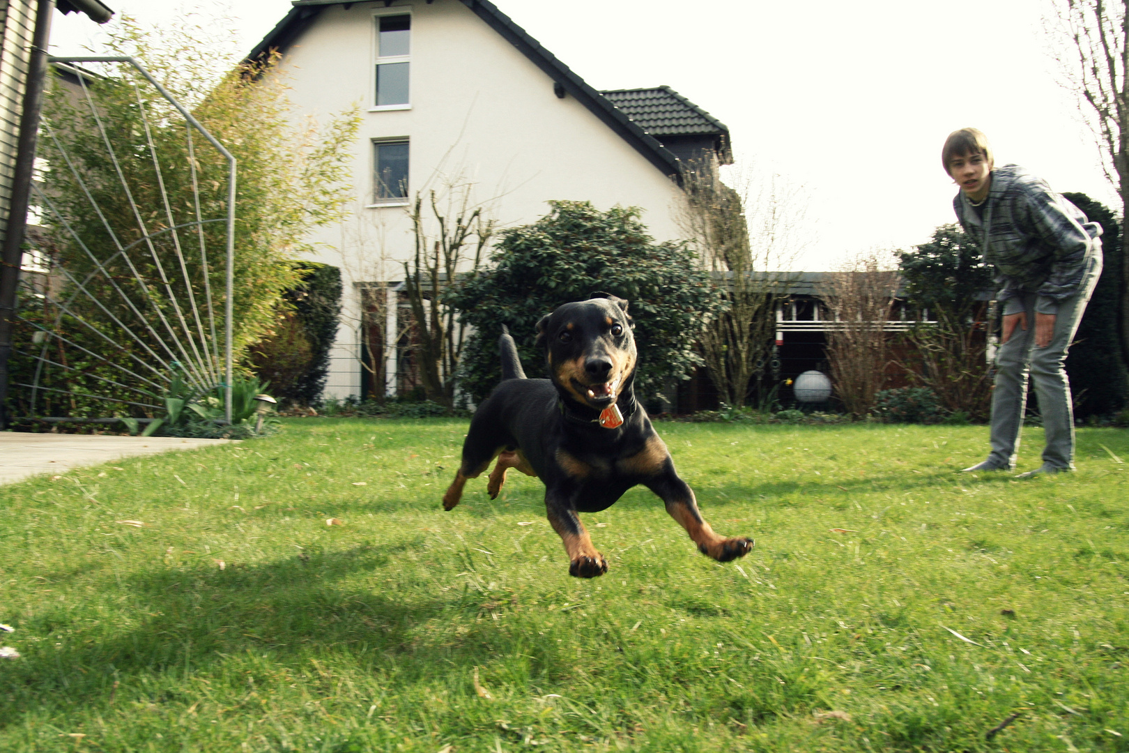 Der fliegende Hund.